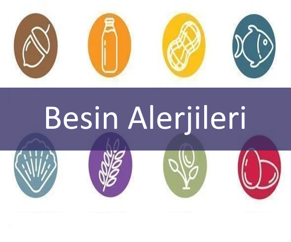 Besin Alerjileri Diyeti Resim