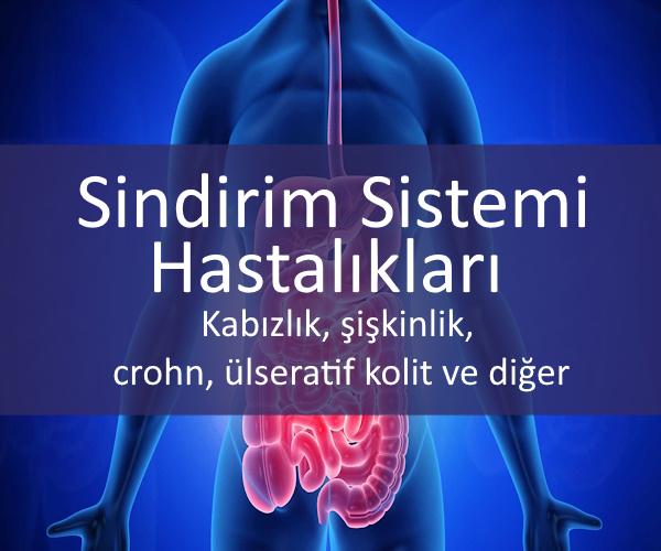 Sindirim Sistemi Hastalıkları Diyeti Resim