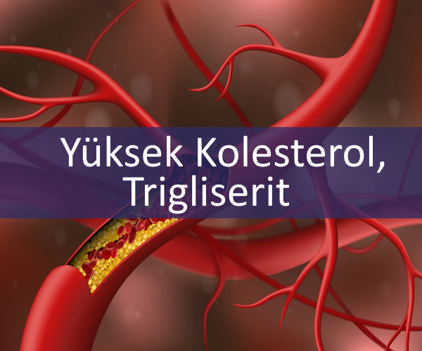 Yüksek Kolesterol Trigliserit Diyeti Resim